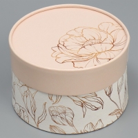 Набор шляпных коробок 2 в 1, упаковка подарочная, &laquo;Нежность&raquo;, 16 х 11.5, 13 х 9 см