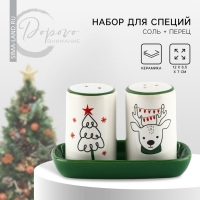 Новый год! Набор для специй керамический &laquo;Новогодний олень&raquo;, 12х6.5х7 см, цвет белый