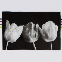 Штора для ванны Доляна «Белые цветы», 180×180 см, EVA Штора для ванны Доляна «Белые цветы», 180×180 см, EVA