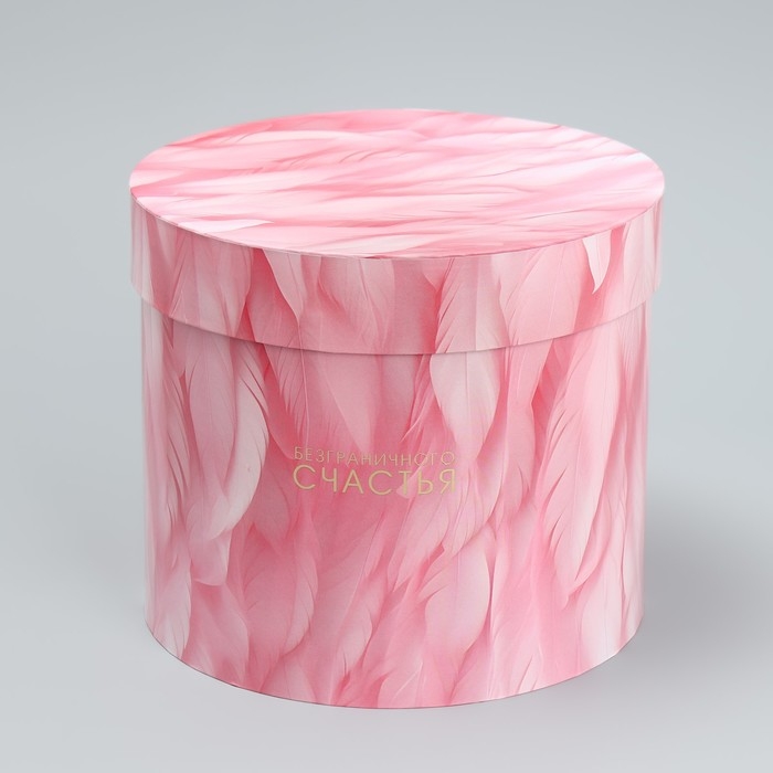 Набор шляпных коробок 5 в 1, упаковка подарочная, «Перья», 13 х 14 ‒ 19.5 х 22 см Набор шляпных коробок 5 в 1, упаковка подарочная, «Перья», 13 х 14 ‒ 19.5 х 22 см