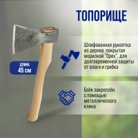 Топор кованый ТУНДРА, деревянное топорище Б2, покрыто морилкой "Орех", 800 г