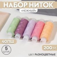 Набор ниток &laquo;Нежный&raquo;, 40ЛШ, 200 м, 5 шт, цвет разноцветный