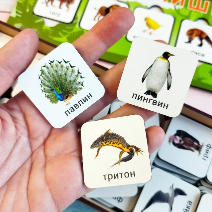 Игра на логику «Кто-то лишний» Игра на логику «Кто-то лишний»