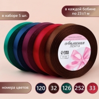 Набор атласных лент «Вечерние огни», 5 шт, размер 1 ленты: 20 мм × 23 ± 1 м Набор атласных лент «Вечерние огни», 5 шт, размер 1 ленты: 20 мм × 23 ± 1 м