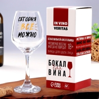 Бокал для вина «Можно ВСЁ», 350 мл, тип нанесения рисунка: деколь Бокал для вина «Можно ВСЁ», 350 мл, тип нанесения рисунка: деколь