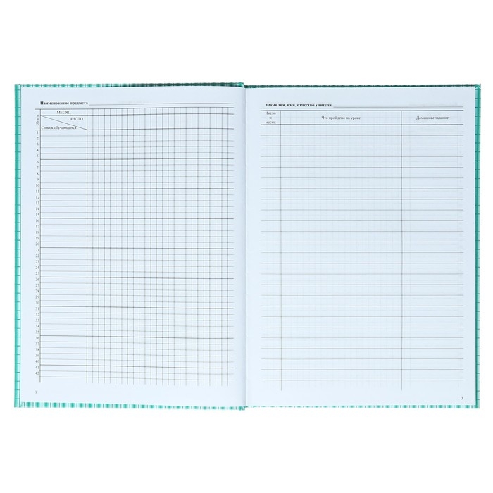 Классный журнал для 10-11 классов А4, 184 страницы, твердая ламинированная обложка, блок офсет 65г/м2