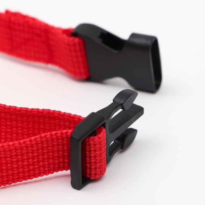 Намордник текстильный, размер 2 (длина по носу 4 см, обхват морды 20 см), микс цветов Намордник текстильный, размер 2 (длина по носу 4 см, обхват морды 20 см), микс цветов