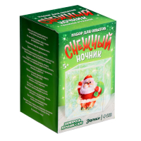 Набор для опытов &laquo;Снежный ночник: Дед Мороз&raquo;, своими руками