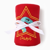 Набор подарочный "Ты-звезда" плед и акс