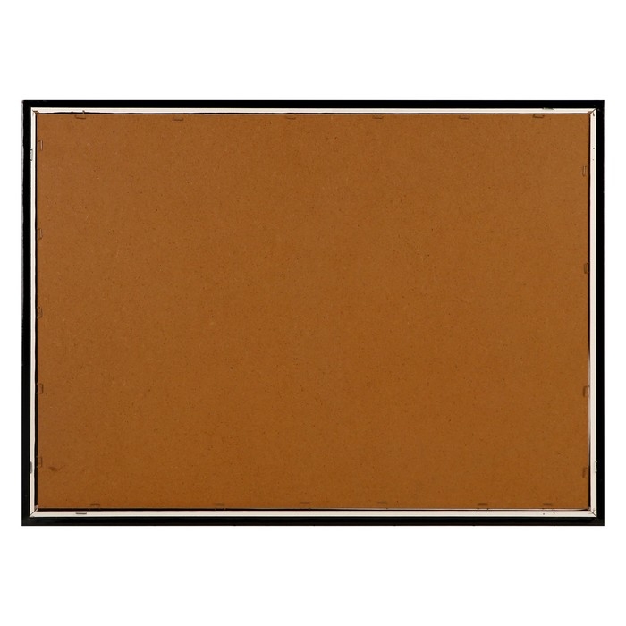 Картина "Пара лошадей" 56х76см рамка МИКС