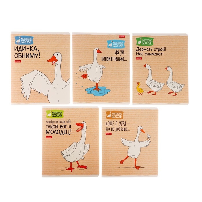 Тетрадь 48 листов в клетку Тетрадь 48 листов в клетку "Гусь-веселюсь №2", обложка мелованный картон, скругленные углы, 5В, МИКС