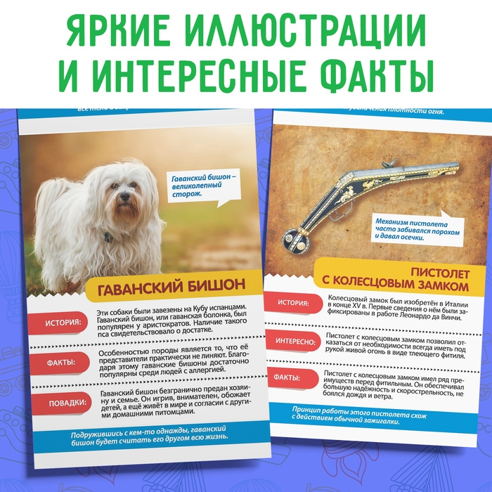 Мини-энциклопедии набор &laquo;Для мальчиков&raquo;, 8 шт.