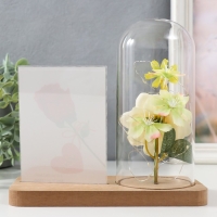 Фоторамка 9х13 см свет "Белая роза в колбе" от батареек 2хLR1130 9,8х19,5х18 см