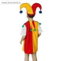 Карнавальный костюм &laquo;Арлекин&raquo;, шапка, безрукавка, 3-5 лет, рост 104-116 см