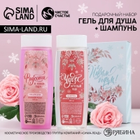 Подарочный набор косметики новогодний &laquo;Исполнения желаний!&raquo;, гель для душа и шампунь для волос, 2 х 250 мл, Новый Год