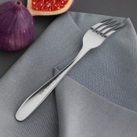 Вилка десертная из нержавеющей стали, длина 16 см, 201 сталь, цвет серебряный Вилка десертная из нержавеющей стали, длина 16 см, 201 сталь, цвет серебряный