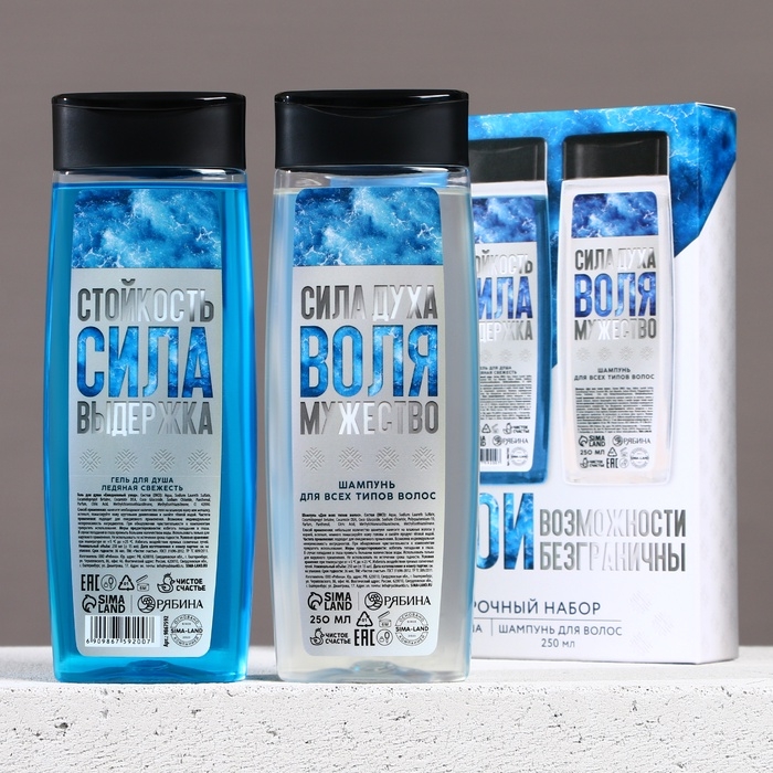 Подарочный набор косметики новогодний &laquo;Твои возможности безграничны&raquo;, гель для душа и шампунь для волос , 2 х 250 мл, Новый Год