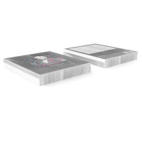 Тетрадь предметная ЛИТЕРАТУРА, 48 листов в линейку, ErichKrause Persons, пластиковая обложка, шелкография, блок офсет 100% белизна, инфо-блок Тетрадь предметная ЛИТЕРАТУРА, 48 листов в линейку, ErichKrause Persons, пластиковая обложка, шелкография, блок офсет 100% белизна, инфо-блок