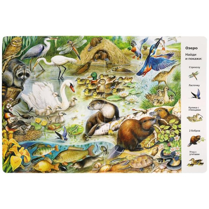 &laquo;Найди и покажи. Животные&raquo;, Виммельбух