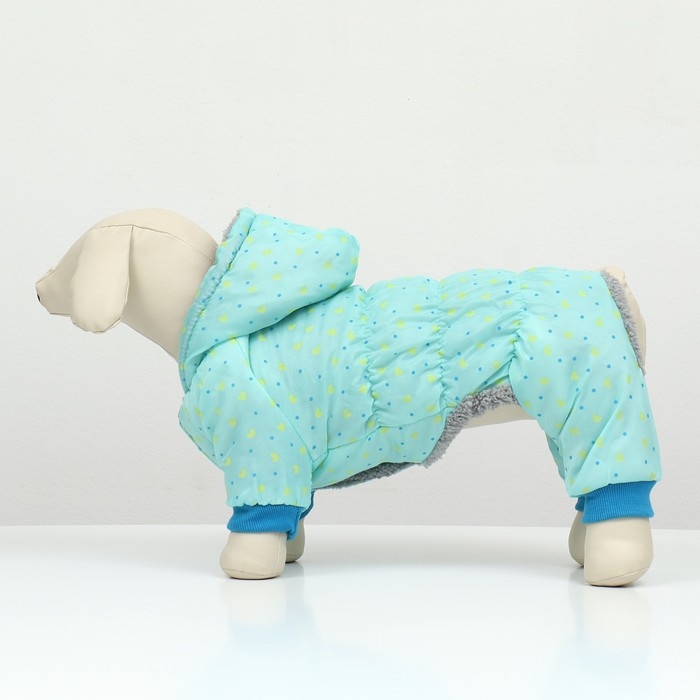 Комбинезон "нежный путь" на меховом подкладе, размер S  (ДС 25, ОШ 25, ОГ 35 см), голубой