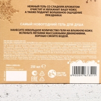 Новогодний подарочный набор косметики &laquo;Сияй в Новом Году!&raquo;, гель для душа 250 мл и мочалка для тела, ЧИСТОЕ СЧАСТЬЕ