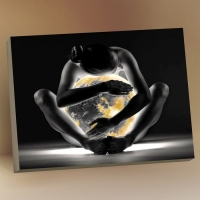 Картина по номерам &laquo;Объятия ночи&raquo;, 10 цветов, с поталью 40 &times; 50 см