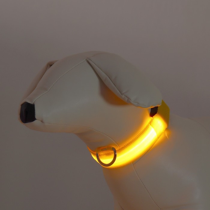 Ошейник с подсветкой размер S, ОШ 35-43 х 2,5 см, 3 режима свечения жёлтый Ошейник с подсветкой размер S, ОШ 35-43 х 2,5 см, 3 режима свечения жёлтый