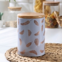 Банка для хранения сыпучих продуктов «Перо», 11×11×15,5 см, цвет лавандовый Банка для хранения сыпучих продуктов «Перо», 11×11×15,5 см, цвет лавандовый