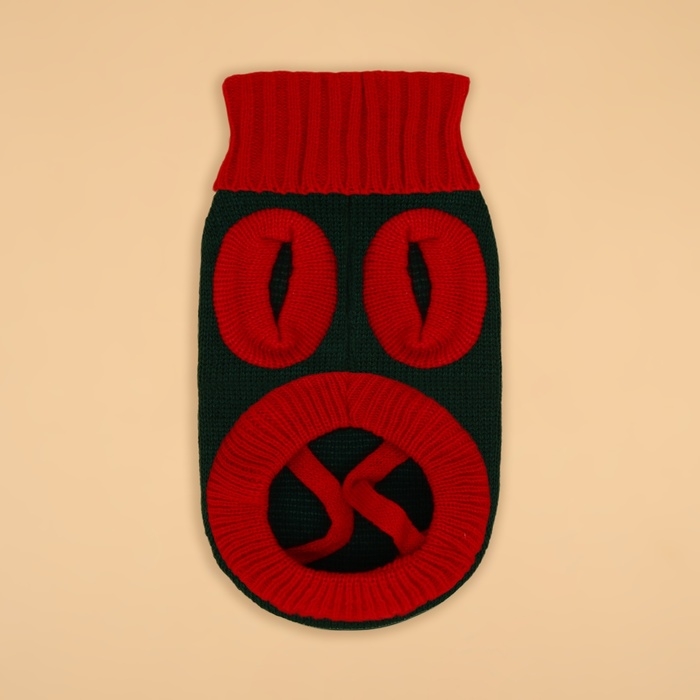 Свитер "Рога удачи", размер XS (ДС 20 см, ОШ 17, ОГ 23-37), зелёный