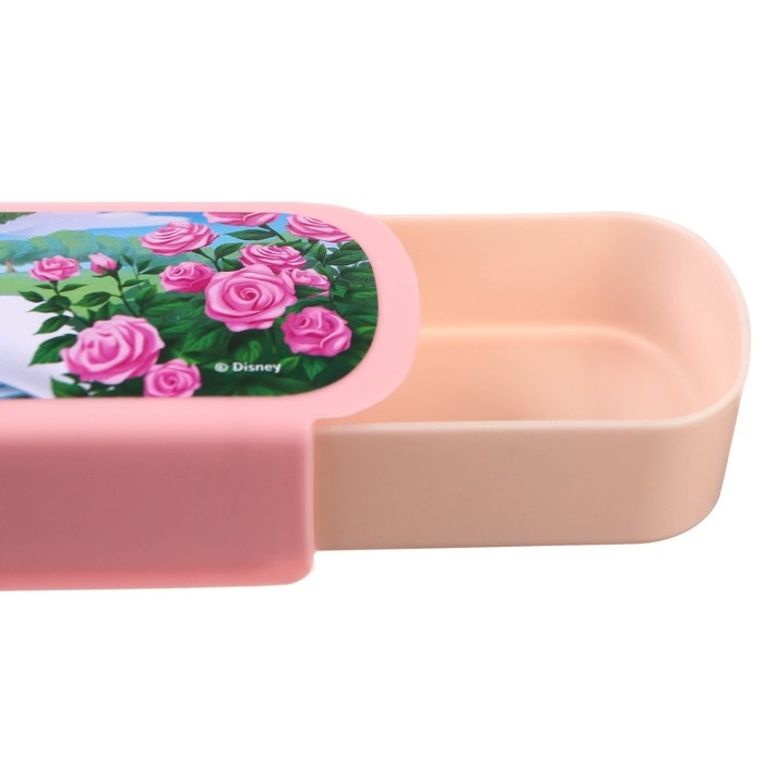 Пенал-футляр пластиковый, 43х200х23 мм, выдвижной, Коты аристократы Пенал-футляр пластиковый, 43х200х23 мм, выдвижной, Коты аристократы