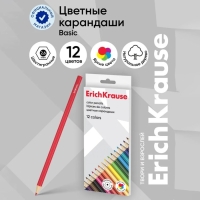 Карандаши 12 цветов ErichKrause Basic, дерево, шестигранные, 2.6 мм грифель, картонная упаковка, европодвес Карандаши 12 цветов ErichKrause Basic, дерево, шестигранные, 2.6 мм грифель, картонная упаковка, европодвес