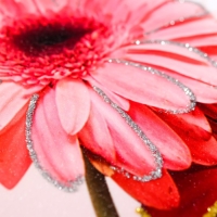 Фотоальбом на 100 фото 13х18 см "Герберы" в коробке, дерево 29,5х4х23 см Фотоальбом на 100 фото 13х18 см "Герберы" в коробке, дерево 29,5х4х23 см