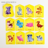 Карточки на кольце для изучения английского языка &laquo;Мамы и детёныши&raquo;, 20 карт, кольцо, 3+