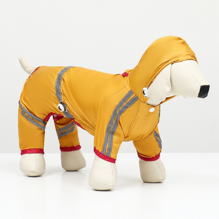 Комбинезон для собак, демисезонный, размер S (ДС 21-23, Ог 31-33, ОШ 23-25 см), жёлтый Комбинезон для собак, демисезонный, размер S (ДС 21-23, Ог 31-33, ОШ 23-25 см), жёлтый