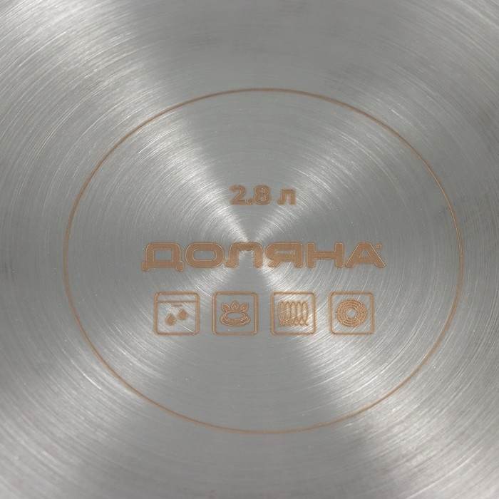 Кастрюля из нержавеющей стали &laquo;Грейт&raquo;, 2,8 л, капсульное дно, индукция