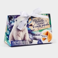 Печенье с предсказаниями &laquo;Впусти сказку в свою жизнь&raquo;, 3 шт