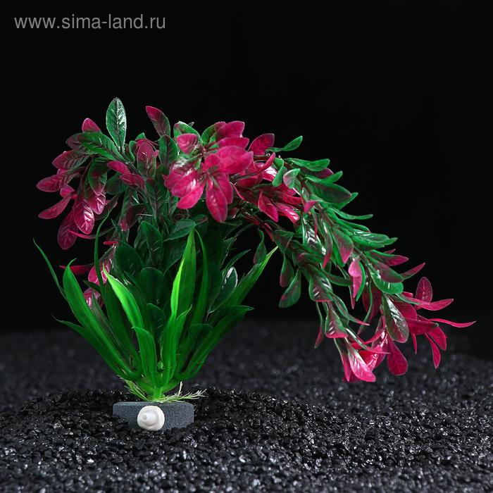 Растение искусственное