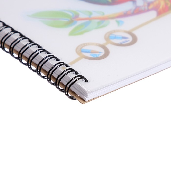 Альбом для рисования А4, 40 листов, блок 120 г/м&sup2;, на спирали, Erich Krause "Birds", пластиковая обложка, 100% белизна, перфорация на отрыв, твердая подложка