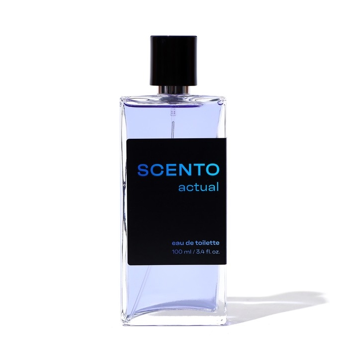 Туалетная вода мужская Dilis Scento Actual, 100 мл Туалетная вода мужская Dilis Scento Actual, 100 мл
