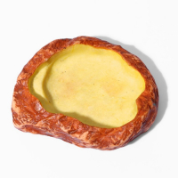 Кормушка - поилка для террариума, 11 х 8,5 х 2,5 см Кормушка - поилка для террариума, 11 х 8,5 х 2,5 см