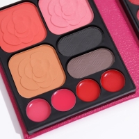 Набор декоративной косметики: тени для век, тени для бровей, блеск для губ, румяна, зеркало Набор декоративной косметики: тени для век, тени для бровей, блеск для губ, румяна, зеркало