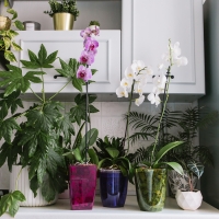 Горшок для орхидей, 2 л, 12,5 &times; 19,5 см, пластик, прозрачно-малиновый