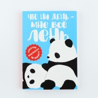 Дневник творческого человека А5, 120 л. &laquo;Панда&raquo;