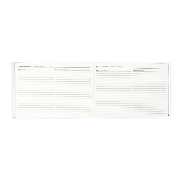 Еженедельник датированный 2025 год, ESCALADA "змея металлик", мягкая обложка ПВХ, 64 листа, блок 70 г/м&sup2;, 180 х 127мм