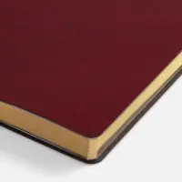 Ежедневник Nebraska Flex, недатированный, бордовый с золотистым Ежедневник Nebraska Flex, недатированный, бордовый с золотистым