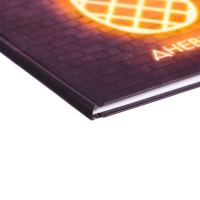 Дневник для 5-11 классов, "Ананас. НЕОН вывеска", твердая обложка 7БЦ, матовая ламинация, выборочный лак, 48 листов Дневник для 5-11 классов, "Ананас. НЕОН вывеска", твердая обложка 7БЦ, матовая ламинация, выборочный лак, 48 листов