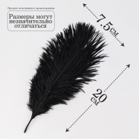 Перо для декора 1 шт., размер — 20,5 × 7,5 см, цвет чёрный Перо для декора 1 шт., размер — 20,5 × 7,5 см, цвет чёрный