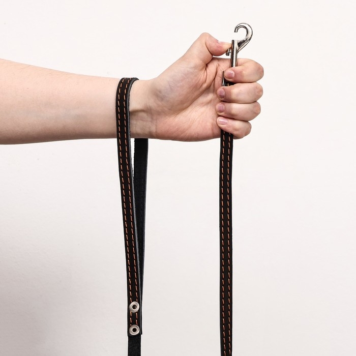Поводок кожаный однослойный, простроченный, 1.41 м х 1.2 см, черный