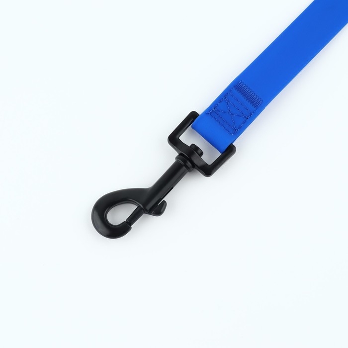 Поводок биотановый 2 м х 20 мм, синий Поводок биотановый 2 м х 20 мм, синий