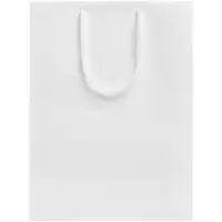 Пакет бумажный &laquo;Крафт&raquo;, M, белый
